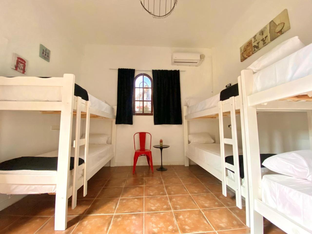 Ph Palermo Hostel Ciudad Autónoma de Ciudad Autónoma de Buenos Aires Exterior foto